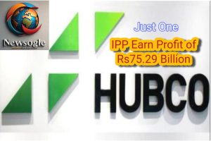 Hubco profit