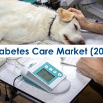 Assessment of the $3.47 Billion Pet Diabetes Care Industry, 2025-2030