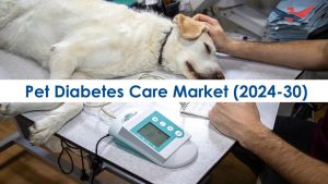 Assessment of the $3.47 Billion Pet Diabetes Care Industry, 2025-2030