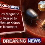 Magnetic Robot