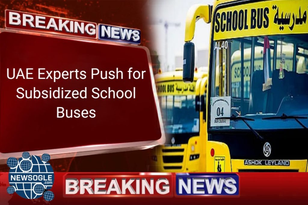 School Buses