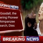 Jane Goodall
