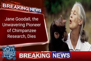 Jane Goodall