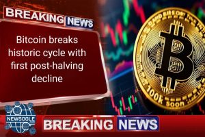 Newsogle-com-1767281670911